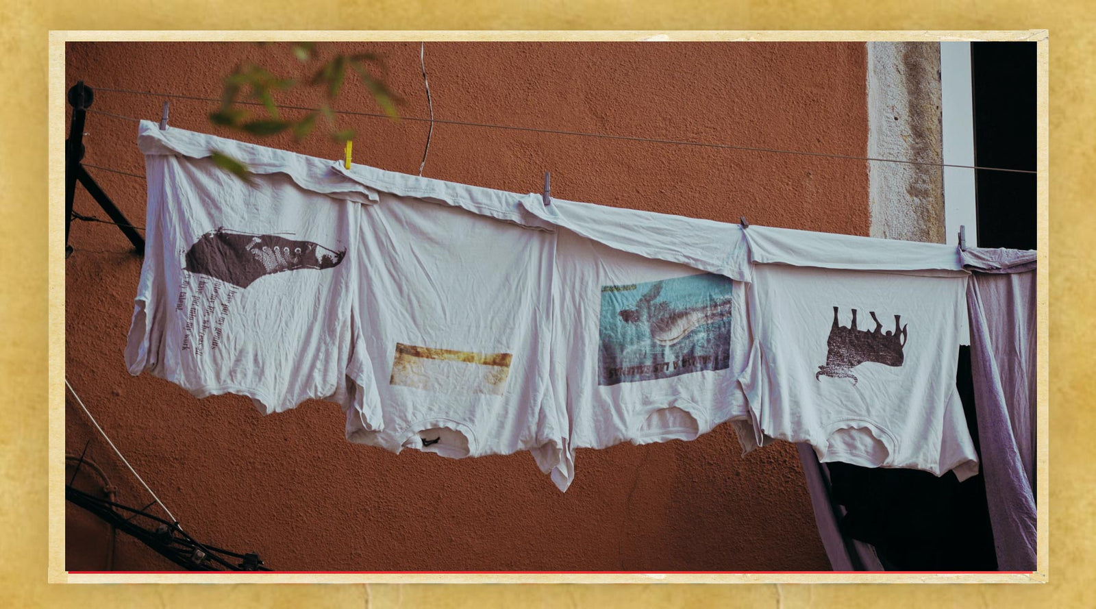 The Chronicles of My Favorite T-Shirt: A Love Story