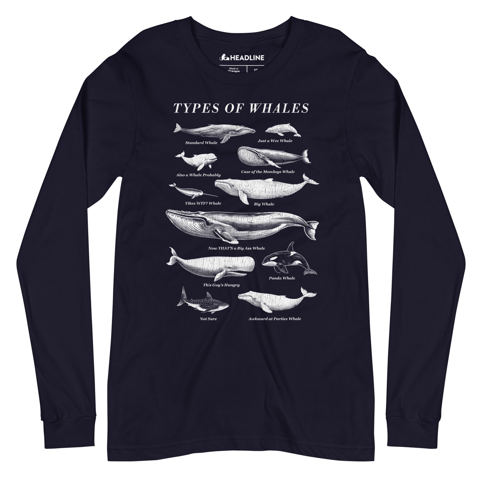 Types Of Whales Funny Marine Life Graphic Long Sleeve Tee | Vintage Chart Nature Tee | Solid Threads