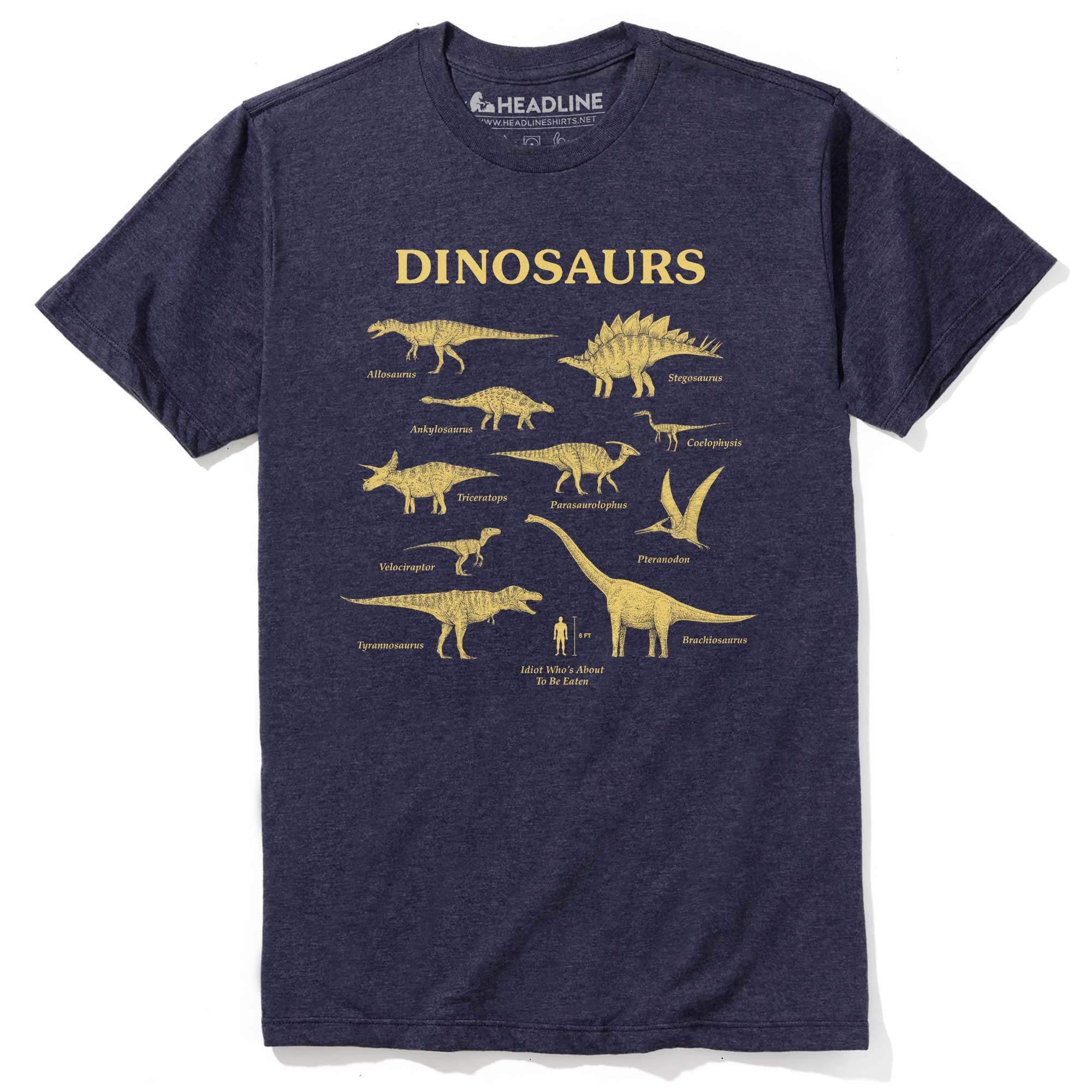 Men's Dinosaurs & Idiot Funny Nerdy Graphic T-Shirt | Cool Science Enthusiast Tee | Solid Threads