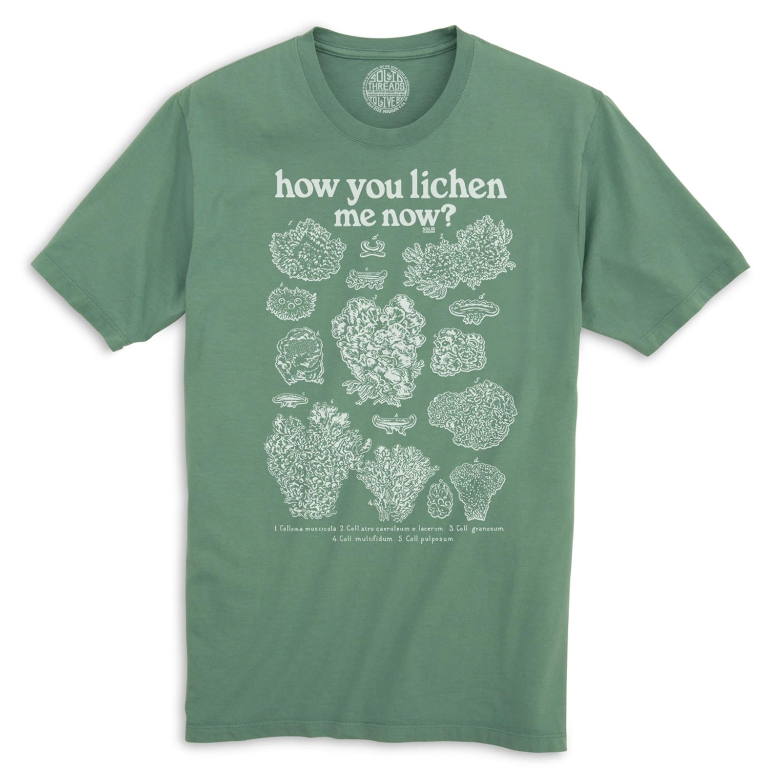 How You Lichen Me Now Funny Organic Cotton T-shirt | Retro Nature Tee | Solid Threads