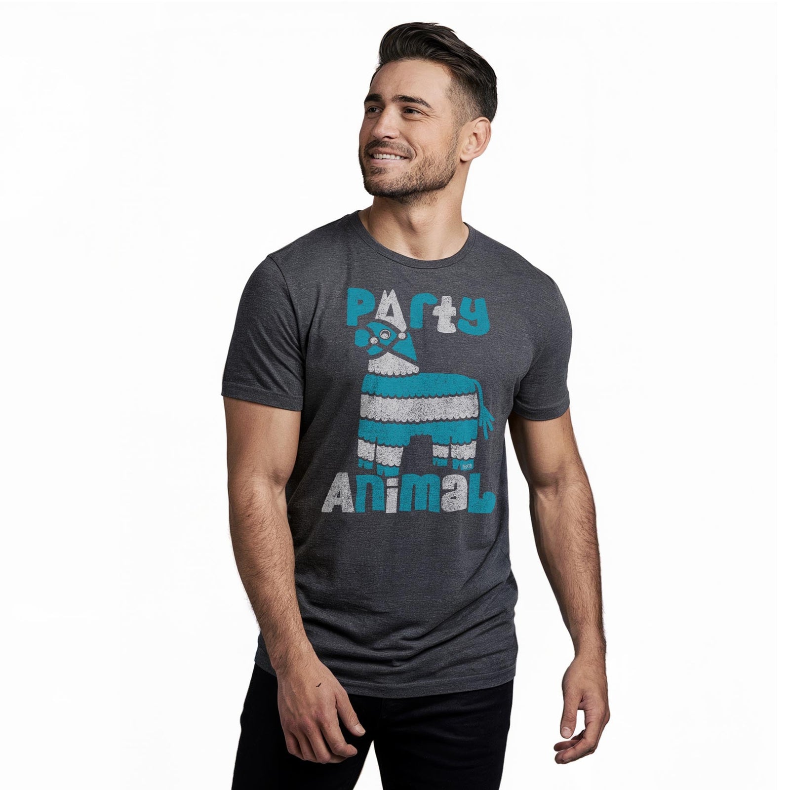 Party Animal Vintage Staple T-shirt in Charcoal Heather On Model - Front View