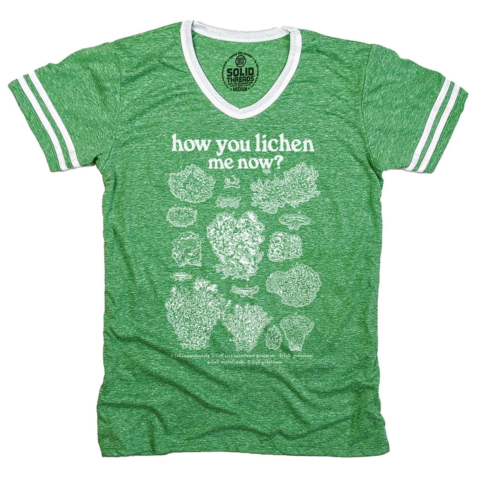 Men's How You Lichen Me Now Retro Graphic V-Neck Tee | Funny Fungi Science T-Shirt | Solid Threads