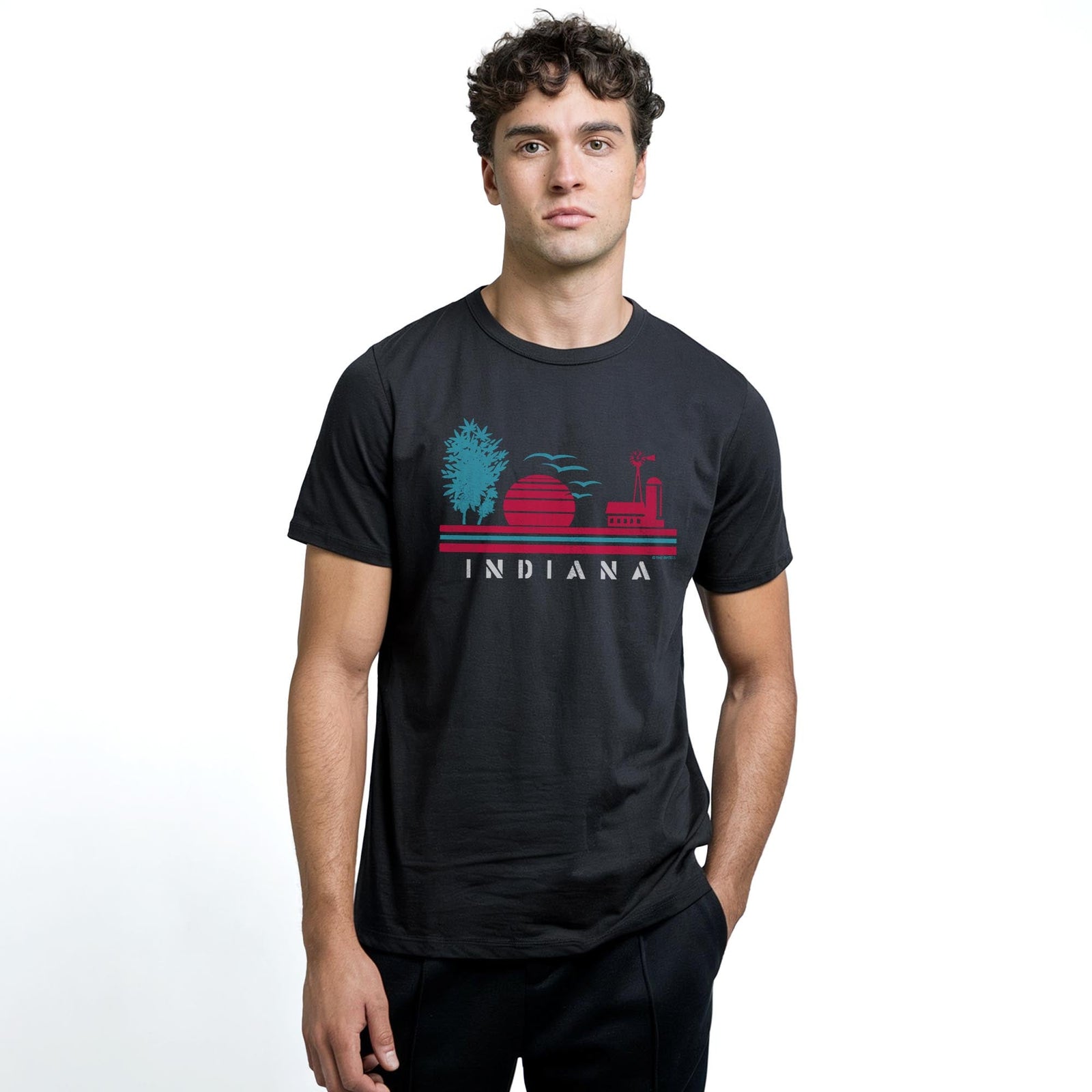 Indiana Farm Cool Staple T-shirt in Black On Model - Front View