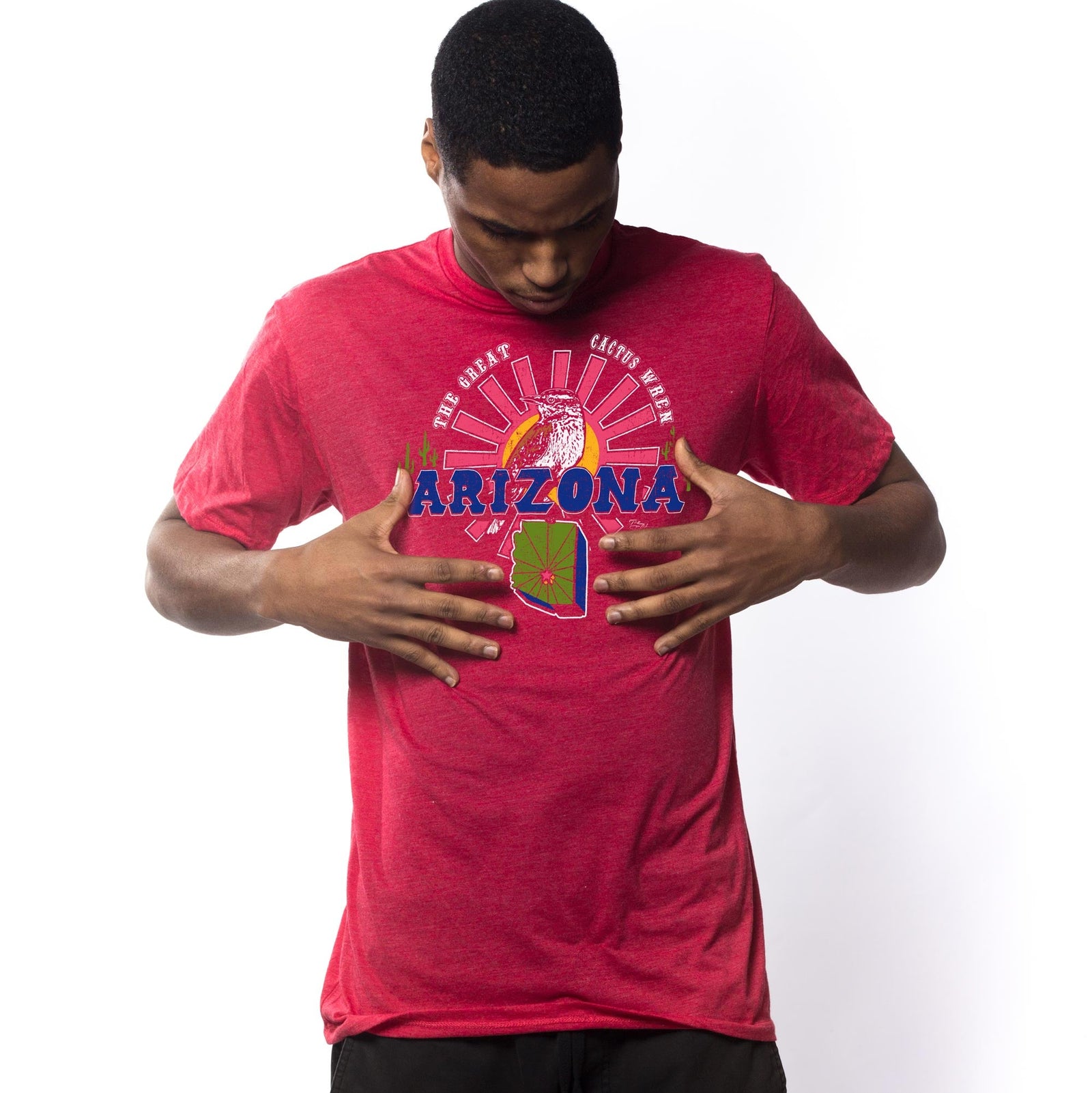 Men's Cactus Wren Cool Graphic T-Shirt | Vintage Arizona Bird Tee on Model | Solid Threads