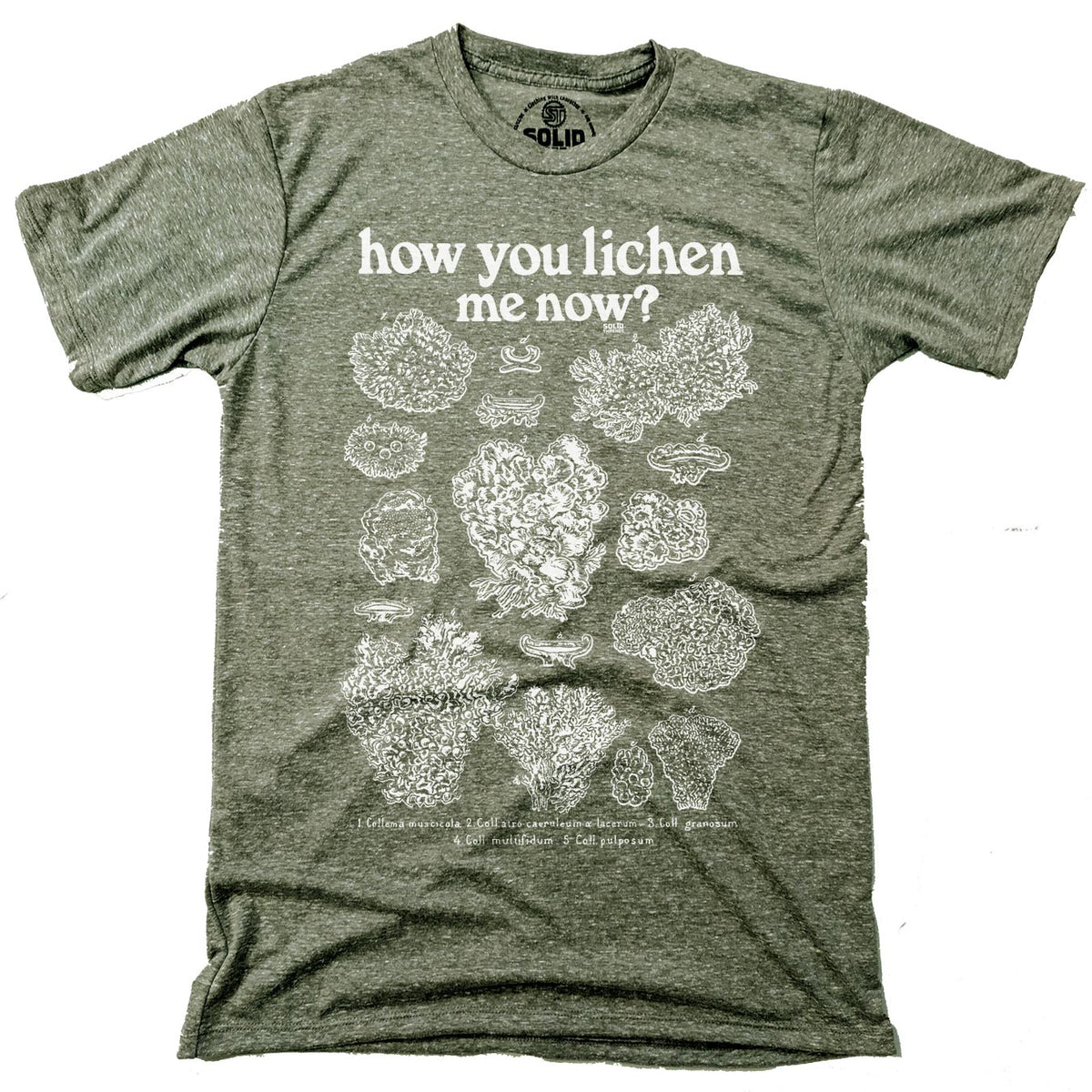 Men&#39;s How You Lichen Me Now Retro Botany Graphic Tee | Funny Fungus Triblend T-Shirt | SOLID THREADS