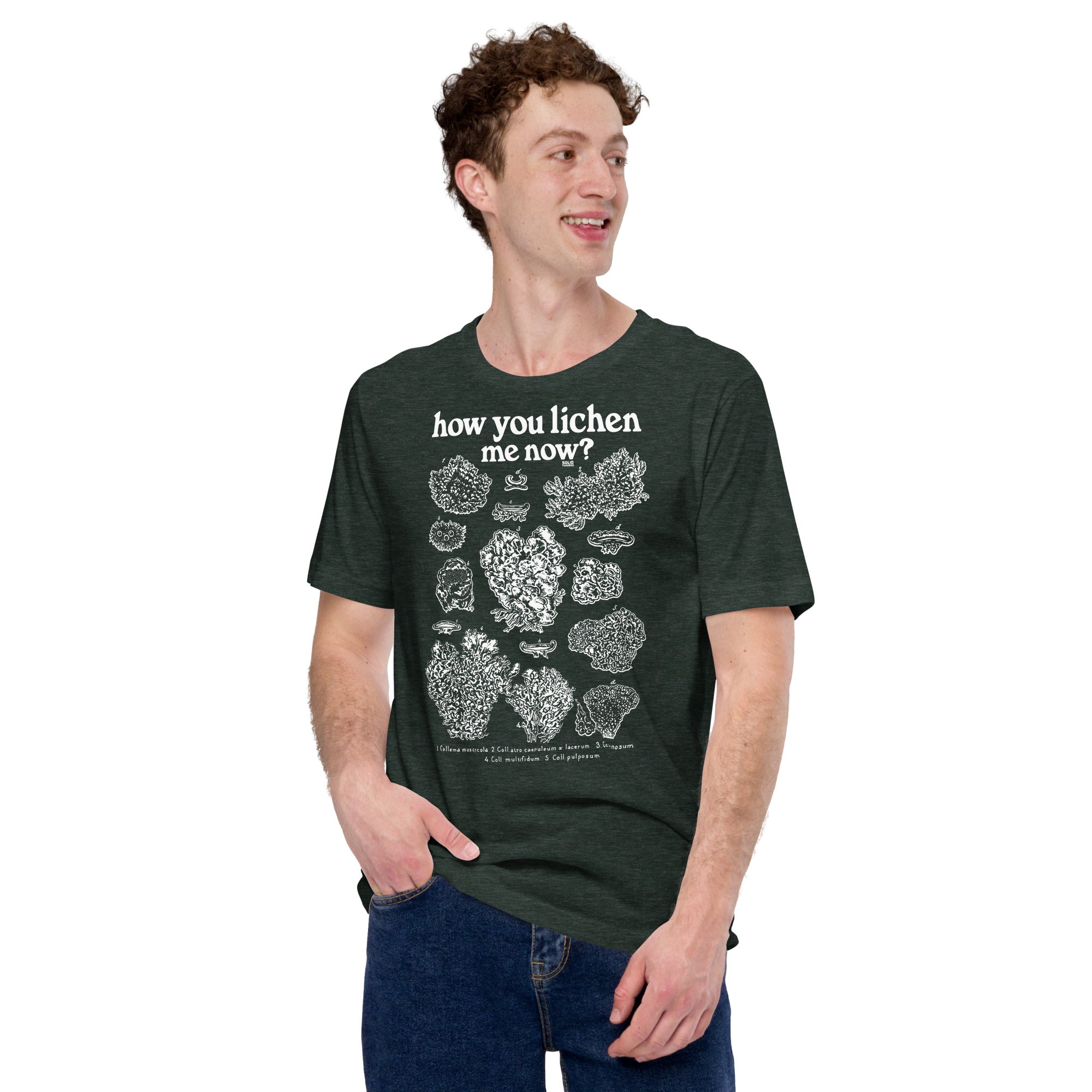 Men's How You Lichen Me Now Funny Soft Style T-Shirt | Retro Nature Tee | Solid Threads