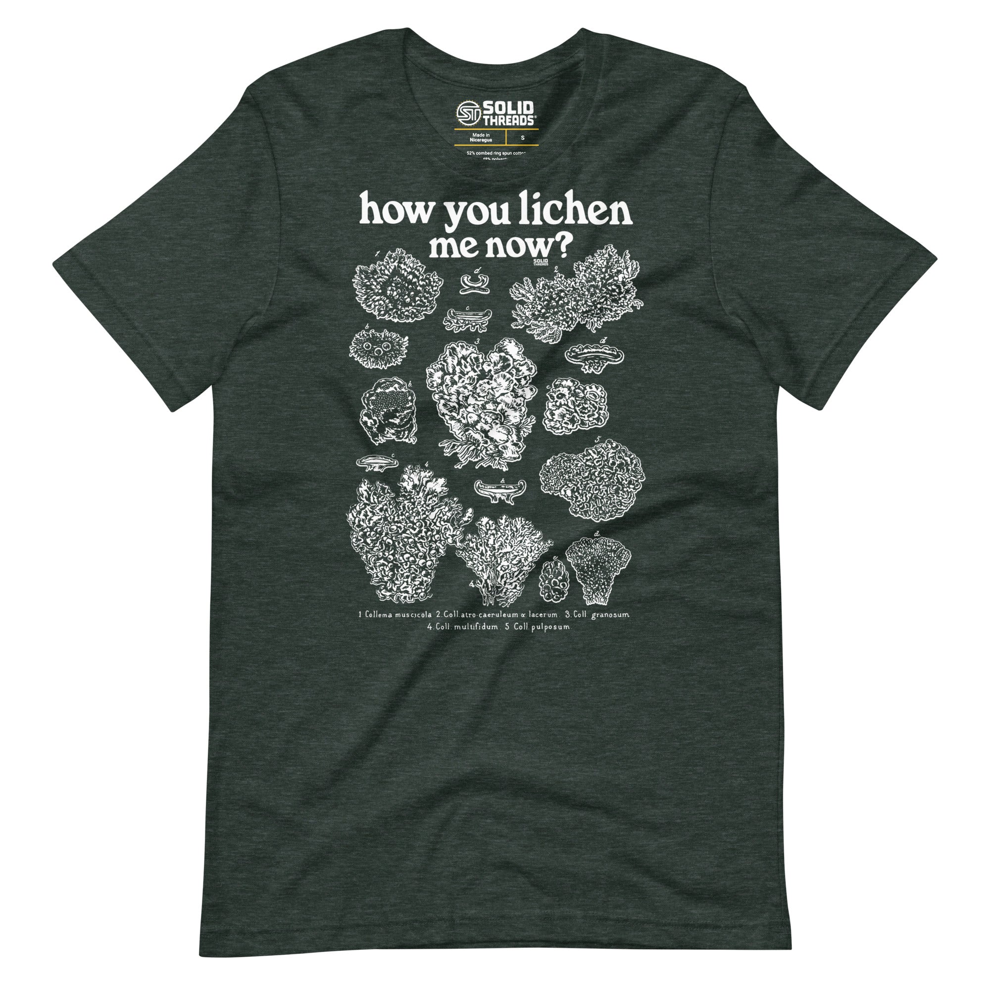 Men's How You Lichen Me Now Funny Soft Style T-Shirt | Retro Nature Tee | Solid Threads