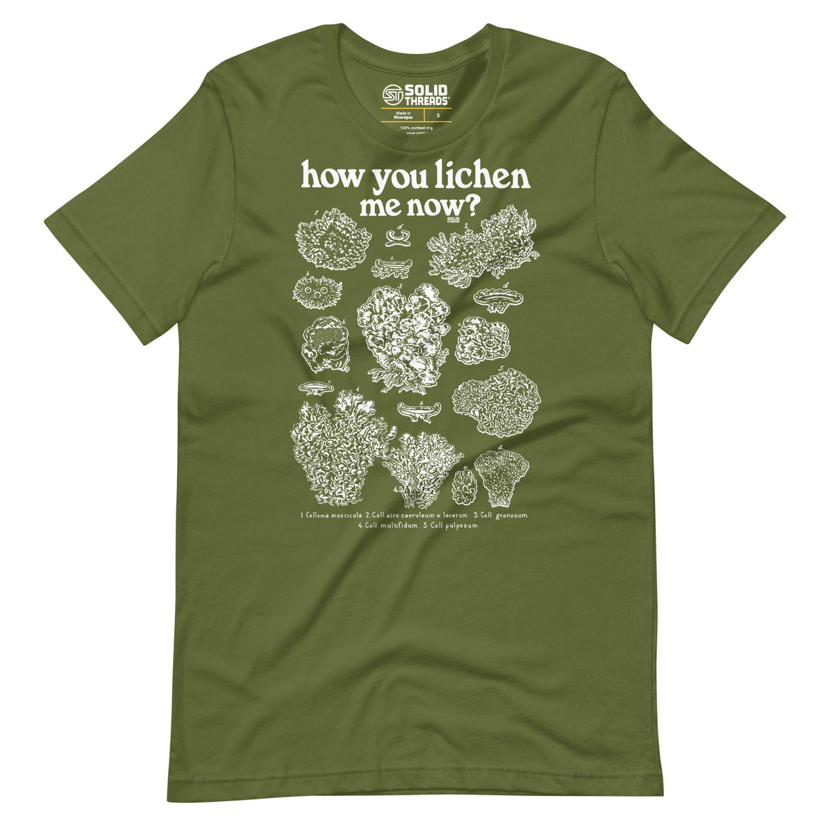 Men&#39;s How You Lichen Me Now Funny Soft Style T-Shirt | Retro Nature Tee | Solid Threads