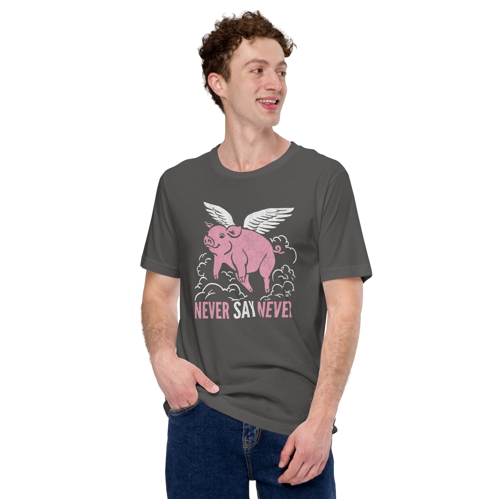 Men's Never Say Never Funny Soft Style T-Shirt | Vintage Optimism Tee | Solid Threads