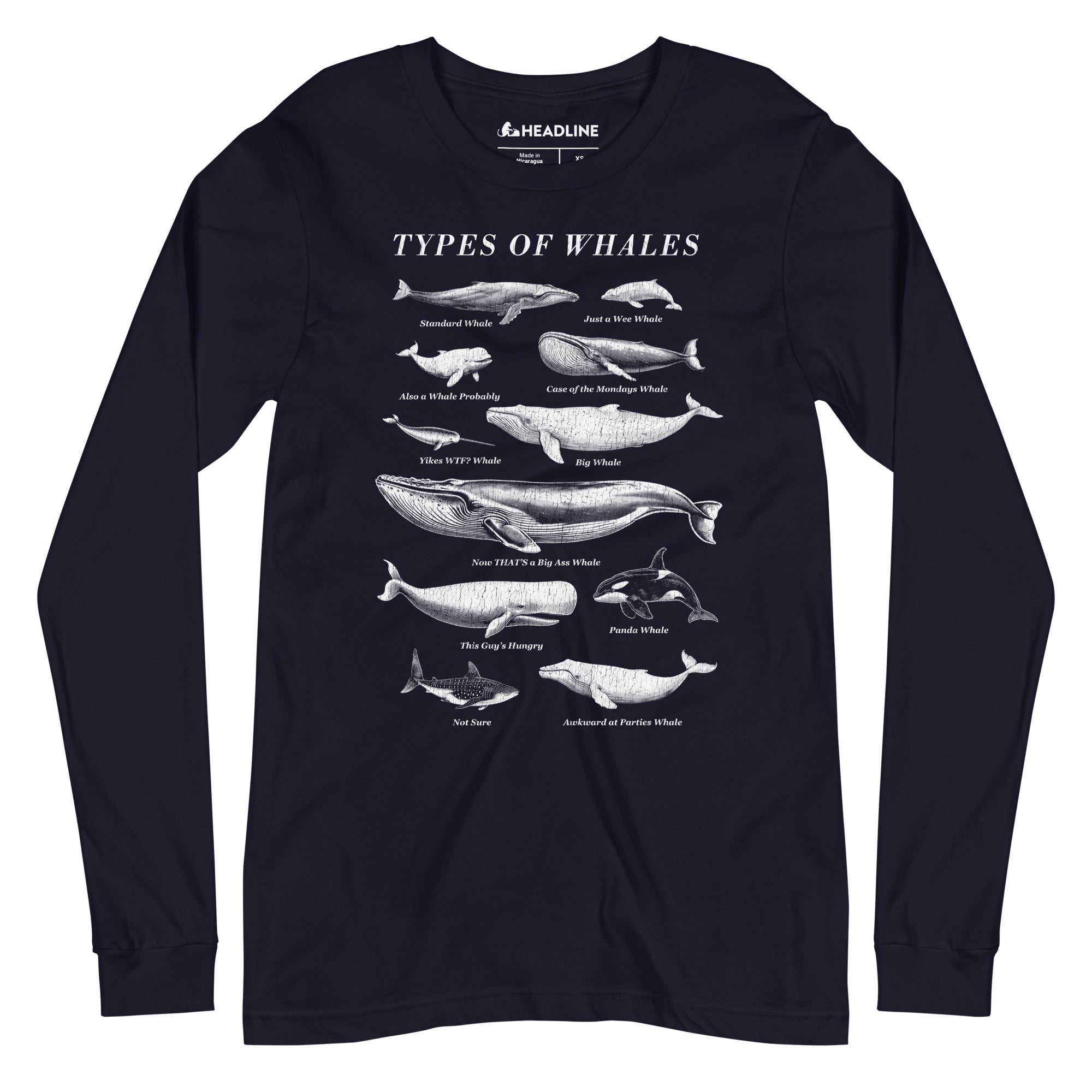  Types Of Whales Funny Marine Life Graphic Long Sleeve Tee | Vintage Chart Nature Tee | Solid Threads