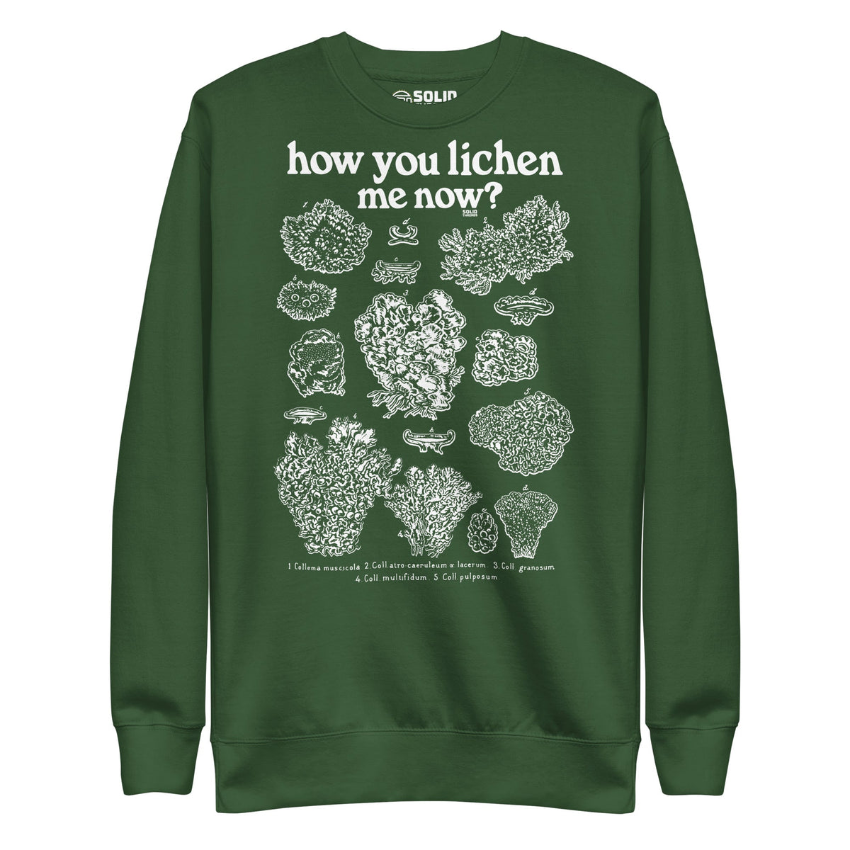 Women&#39;s How You Lichen Me Now Funny Classic Sweatshirt | Retro Nature Fleece | Solid Threads