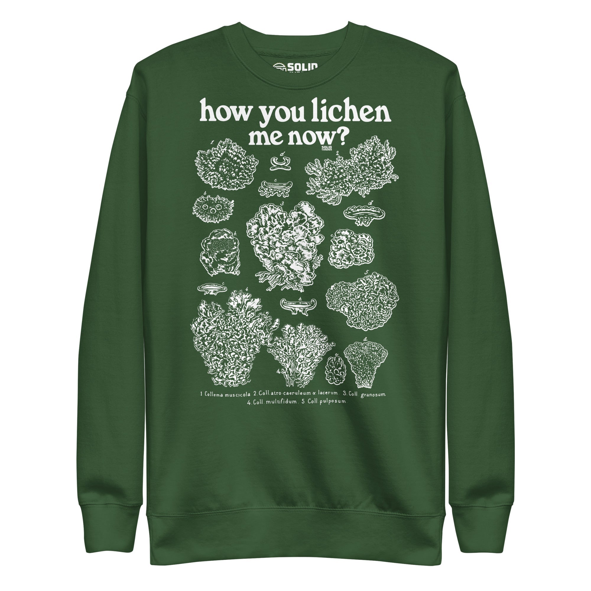 Women's How You Lichen Me Now Funny Classic Sweatshirt | Retro Nature Fleece | Solid Threads