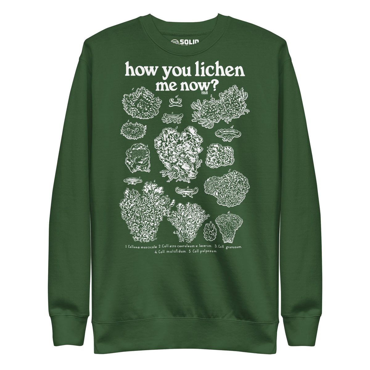 Men&#39;s How You Lichen Me Now Funny Classic Sweatshirt | Retro Nature Fleece | Solid Threads