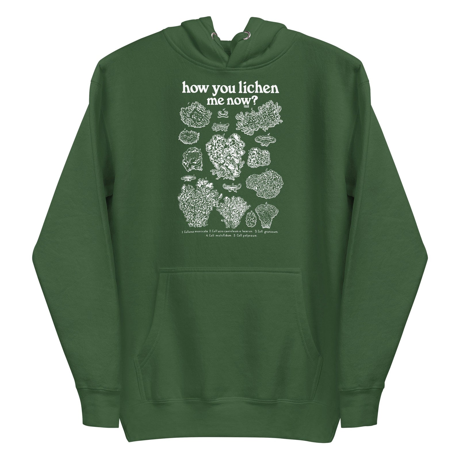 How You Lichen Me Now Funny Classic Pullover Hoodie | Retro Nature Fleece | Solid Threads