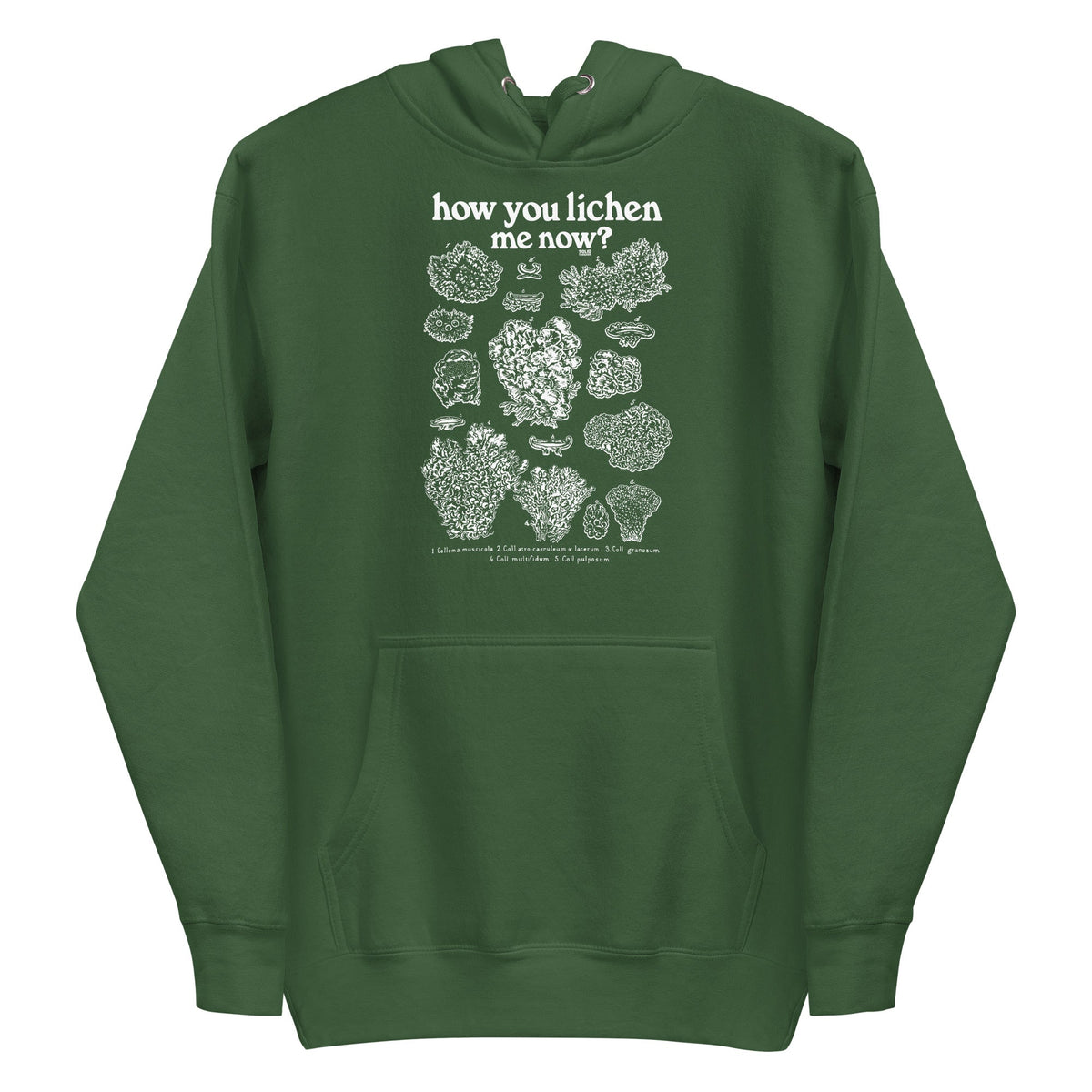 Unisex How You Lichen Me Now Funny Classic Pullover Hoodie | Retro Nature Fleece | Solid Threads