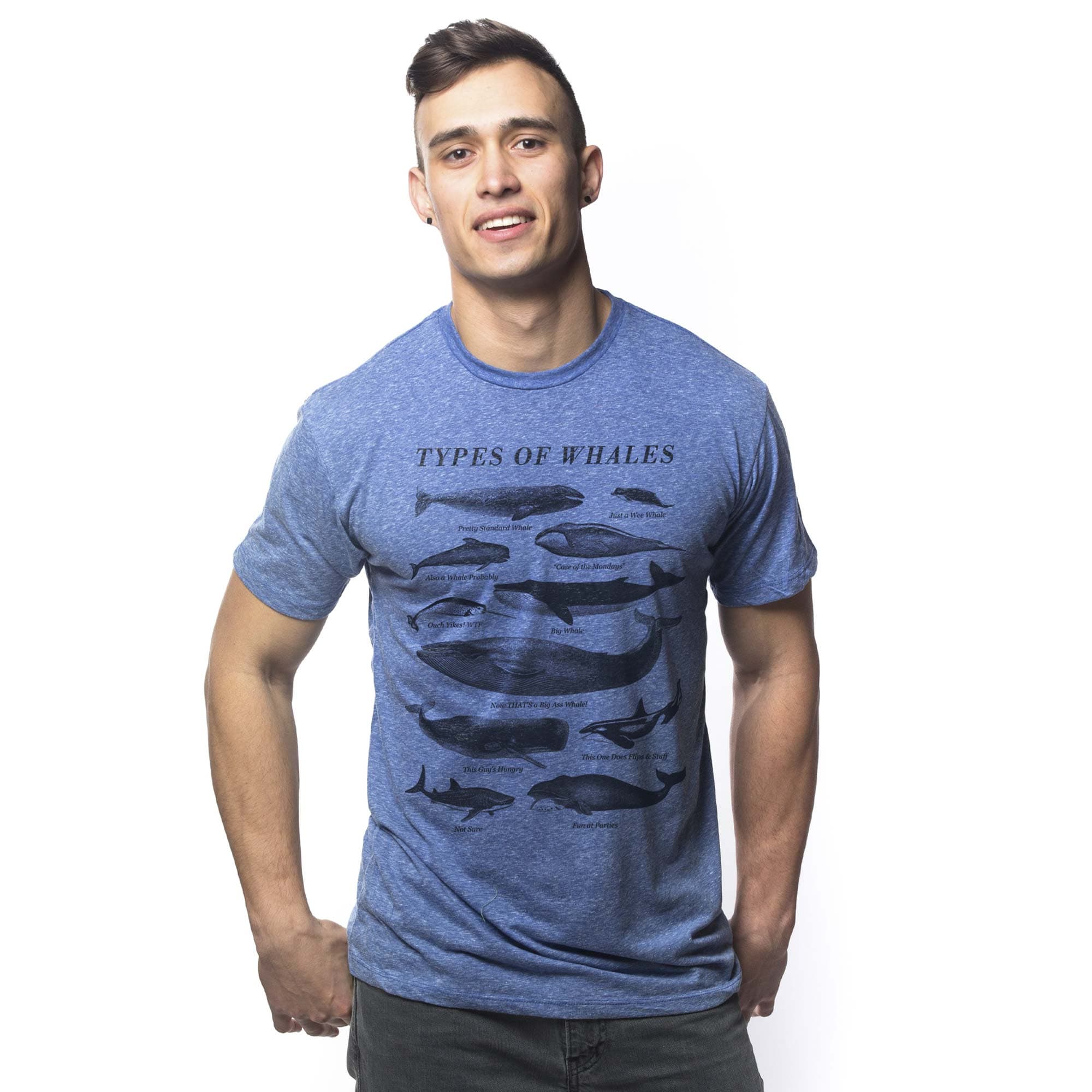 Men's Types Of Whales Funny Graphic T-Shirt | Vintage Chart Nature Tee On Model | Solid Threads