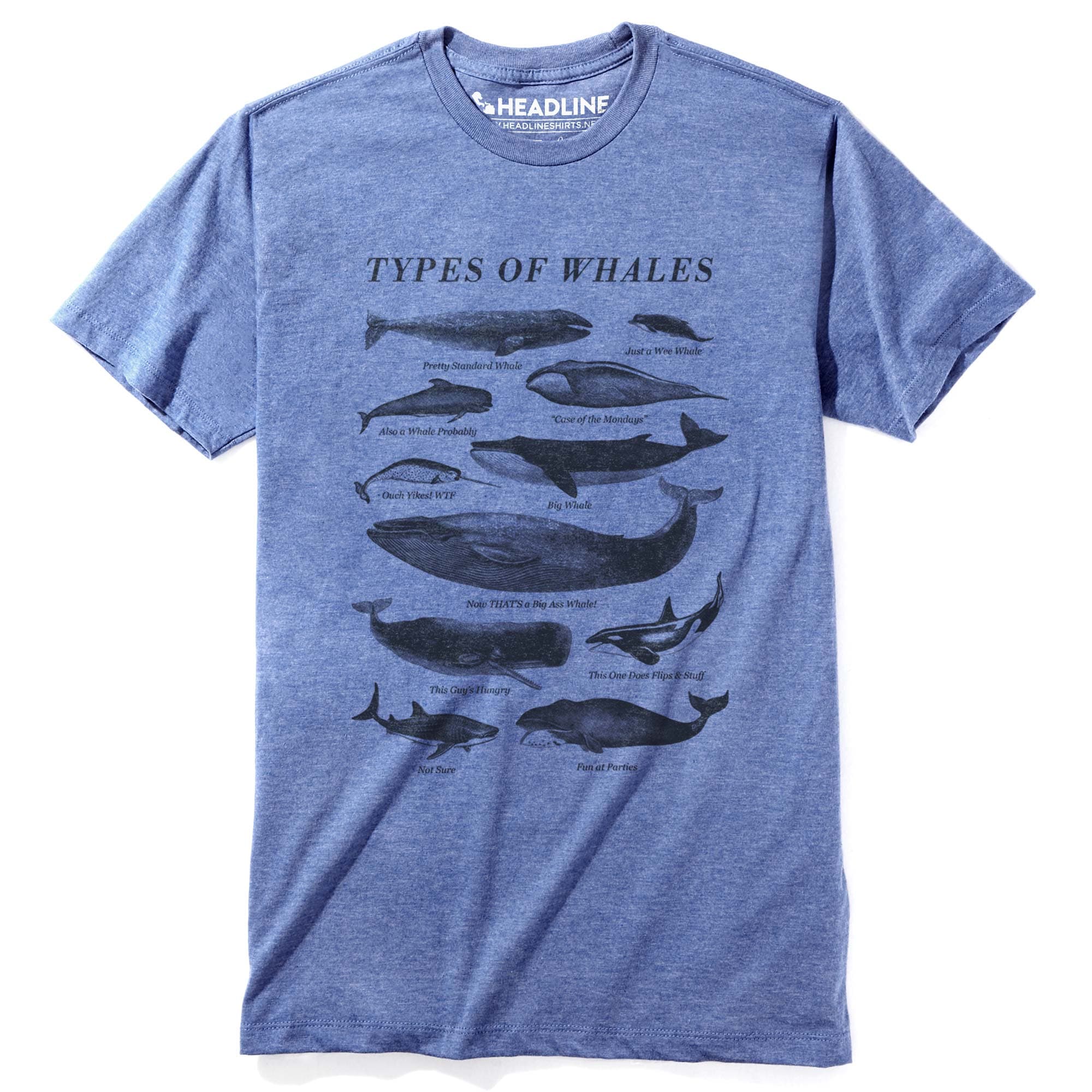 Types of Whales Funny Ocean Graphic T-Shirt | Vintage Chart Nature Tee Triblend Royal / Small
