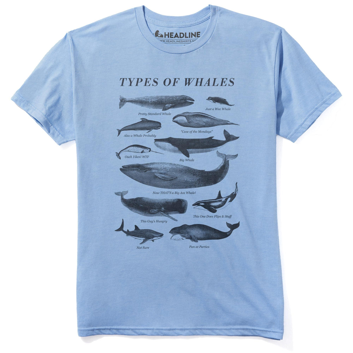 Types Of Whales Funny Staple T-shirt in Light Blue Heather - Front View