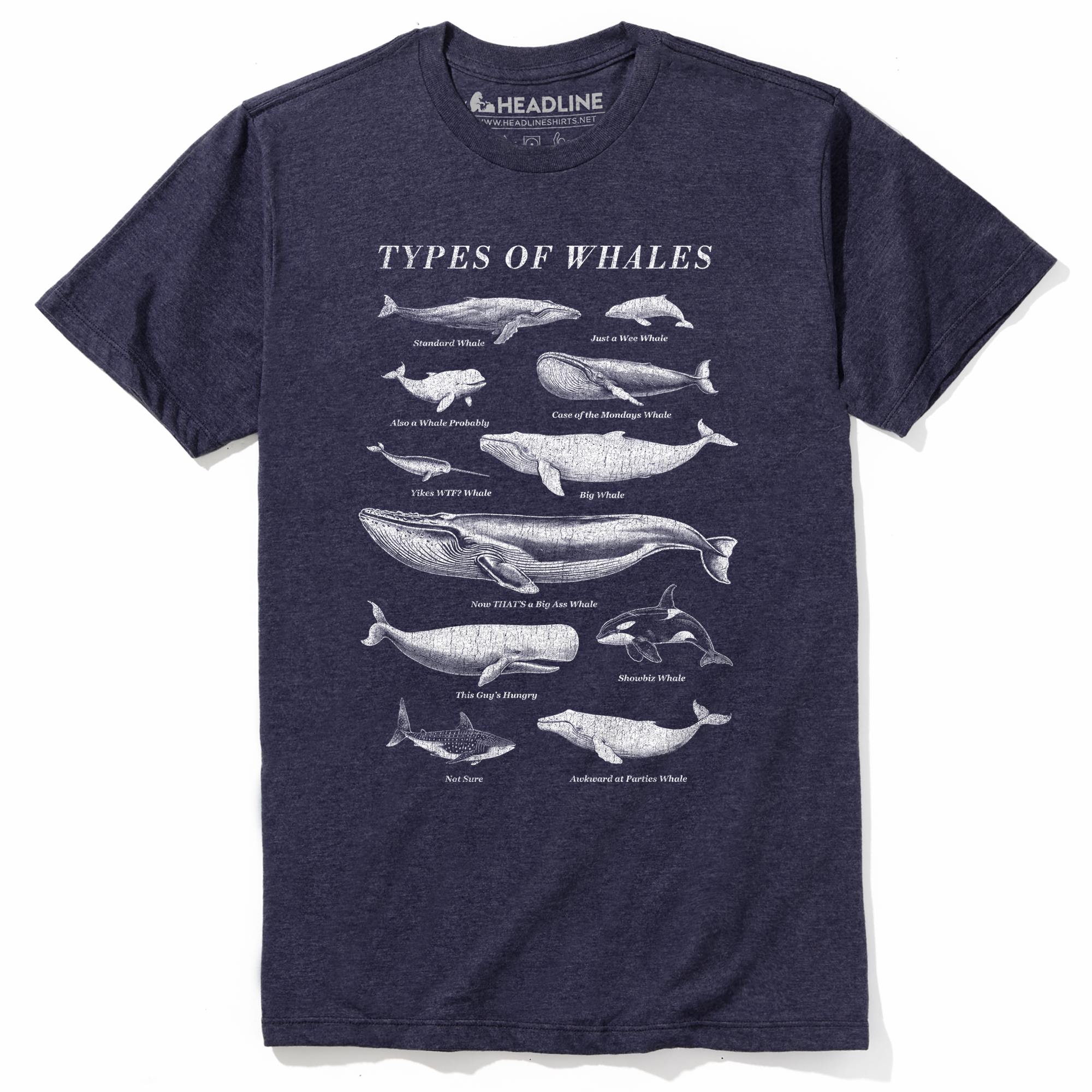 Men's Types Of Whales Funny Marine Life Graphic T-Shirt | Vintage Chart Nature Tee | Solid Threads