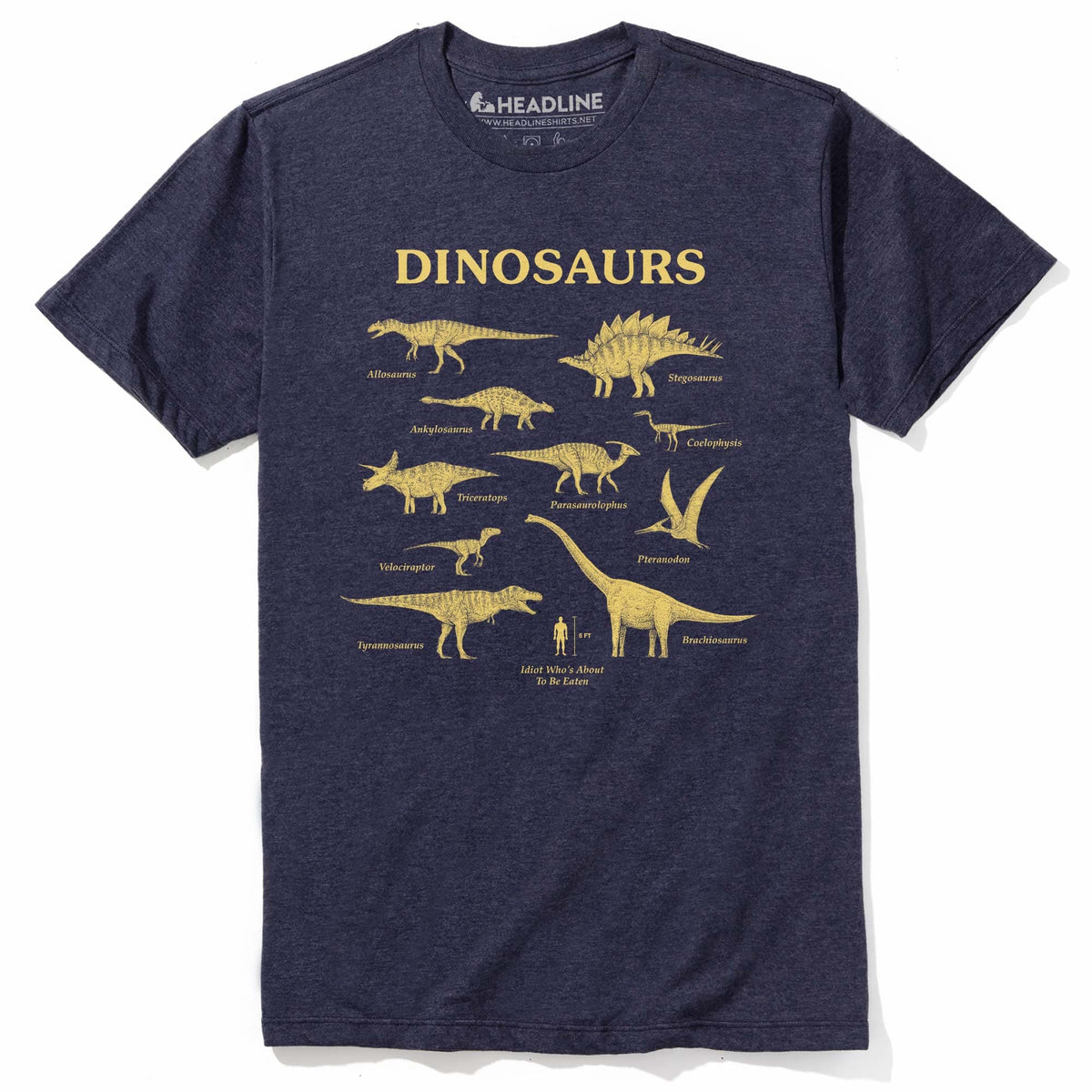 Men&#39;s Dinosaurs &amp; Idiot Funny Nerdy Graphic T-Shirt | Cool Science Enthusiast Tee | Solid Threads