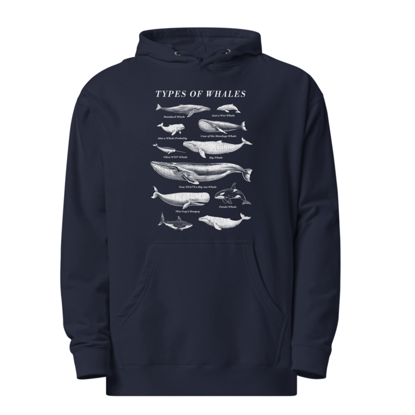 Types Of Whales Funny Marine Life Graphic Midweight Pullover Hoodie | Vintage Chart Nature Fleece | Solid Threads