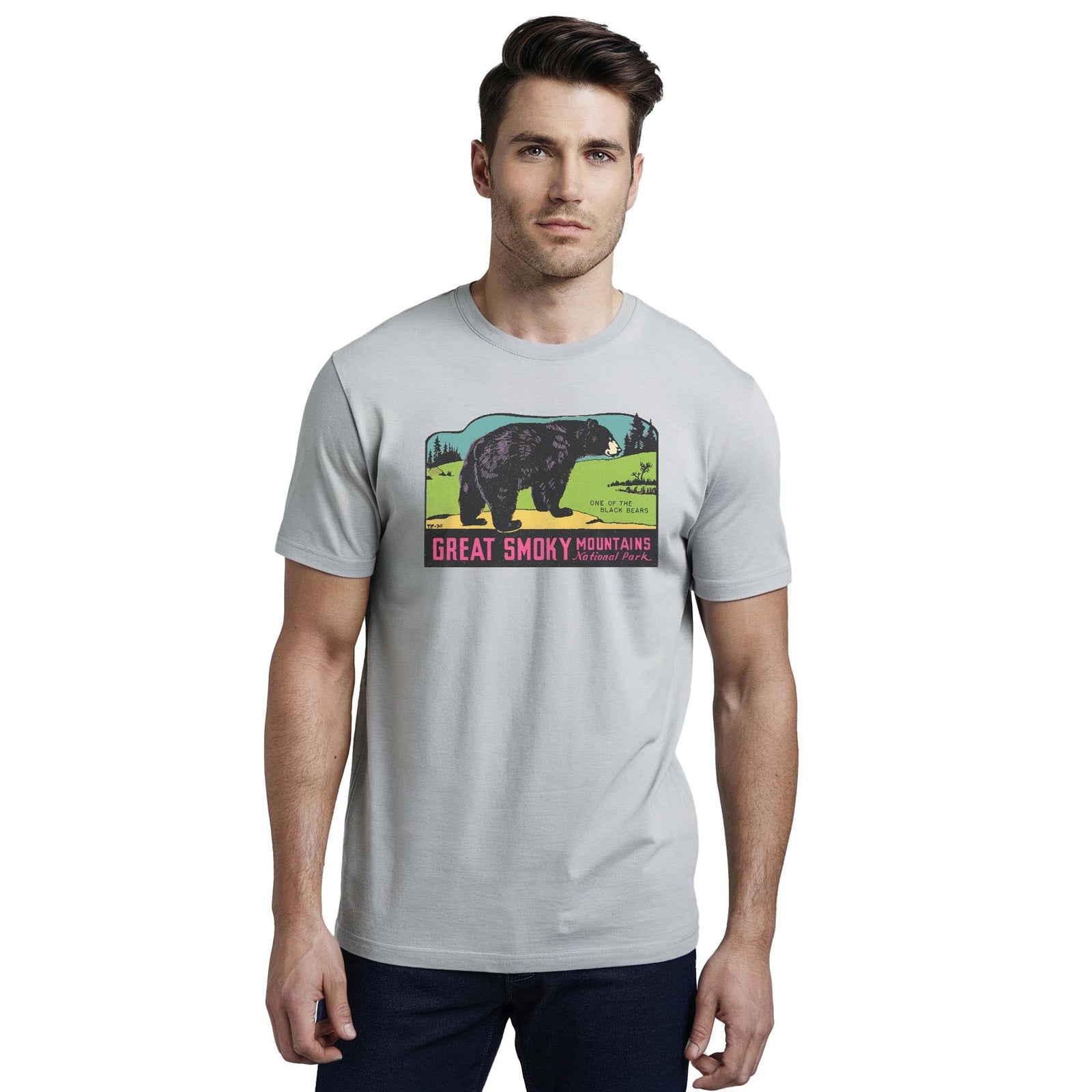 Great Smoky Mts National Park Retro Staple T-shirt in Silver On Model - Front View