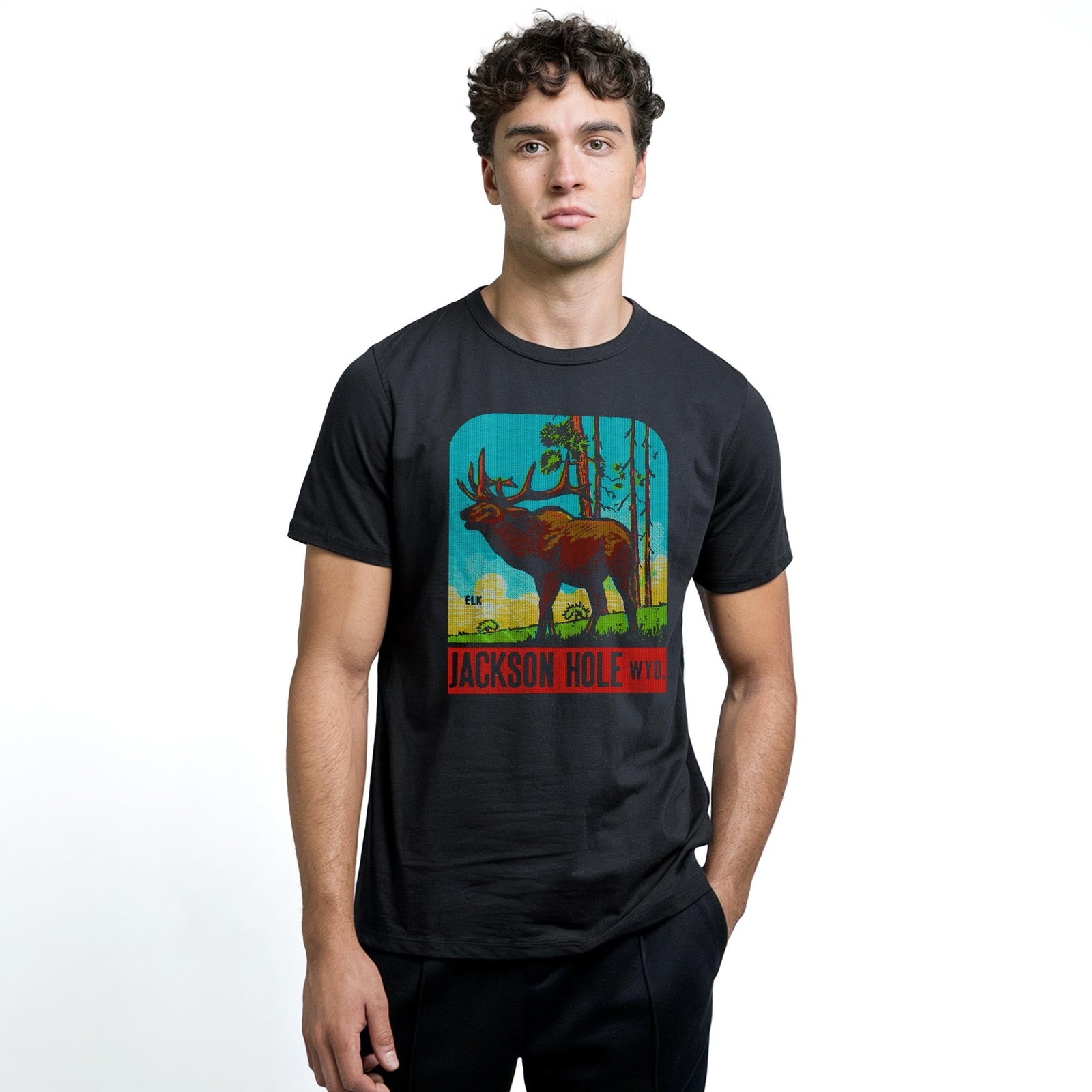 Jackson Hole Vintage Staple T-shirt in Black On Model - Front View