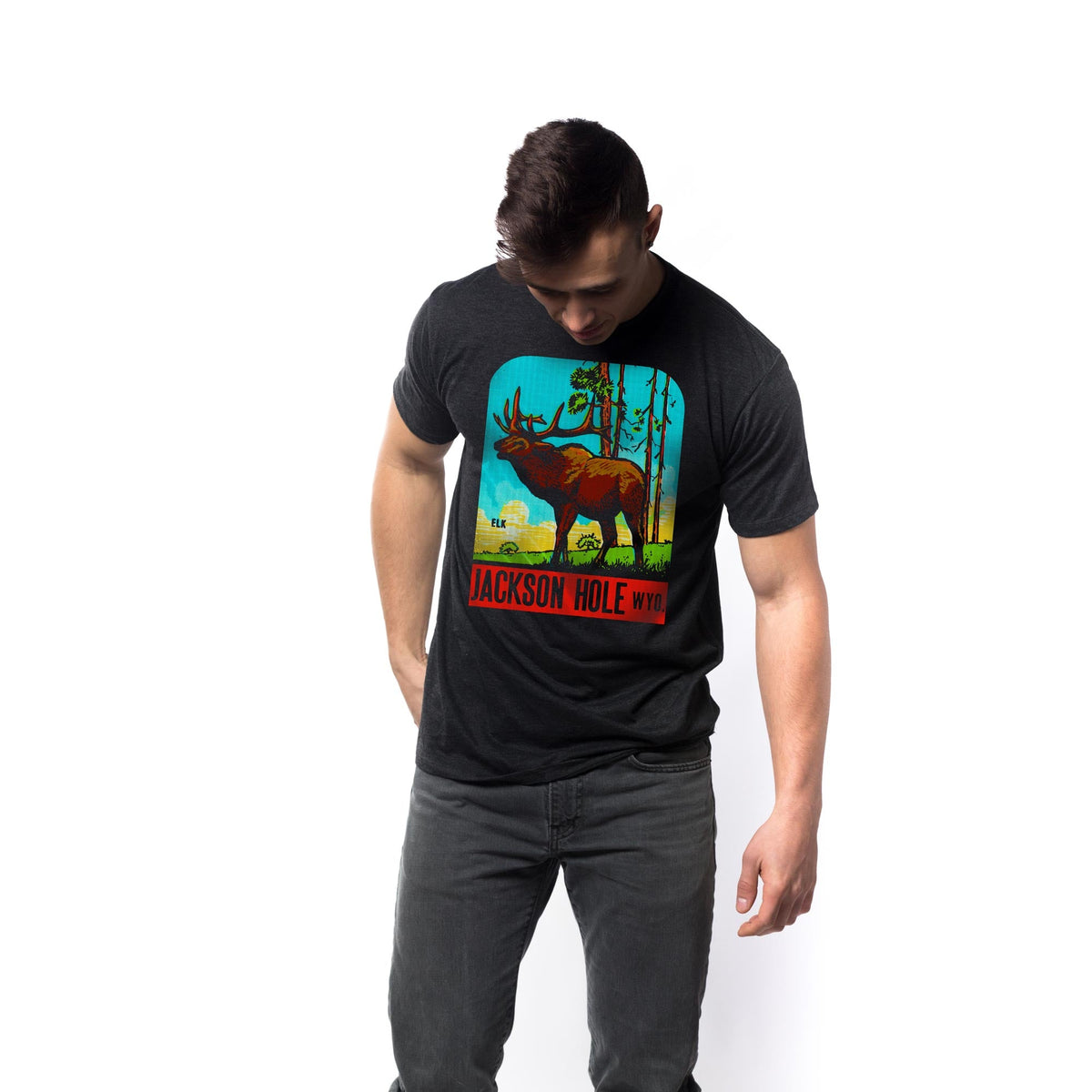 Men's Jackson Hole Vintage Graphic T-Shirt | Cool WY Elk Tee on Model | Solid Threads