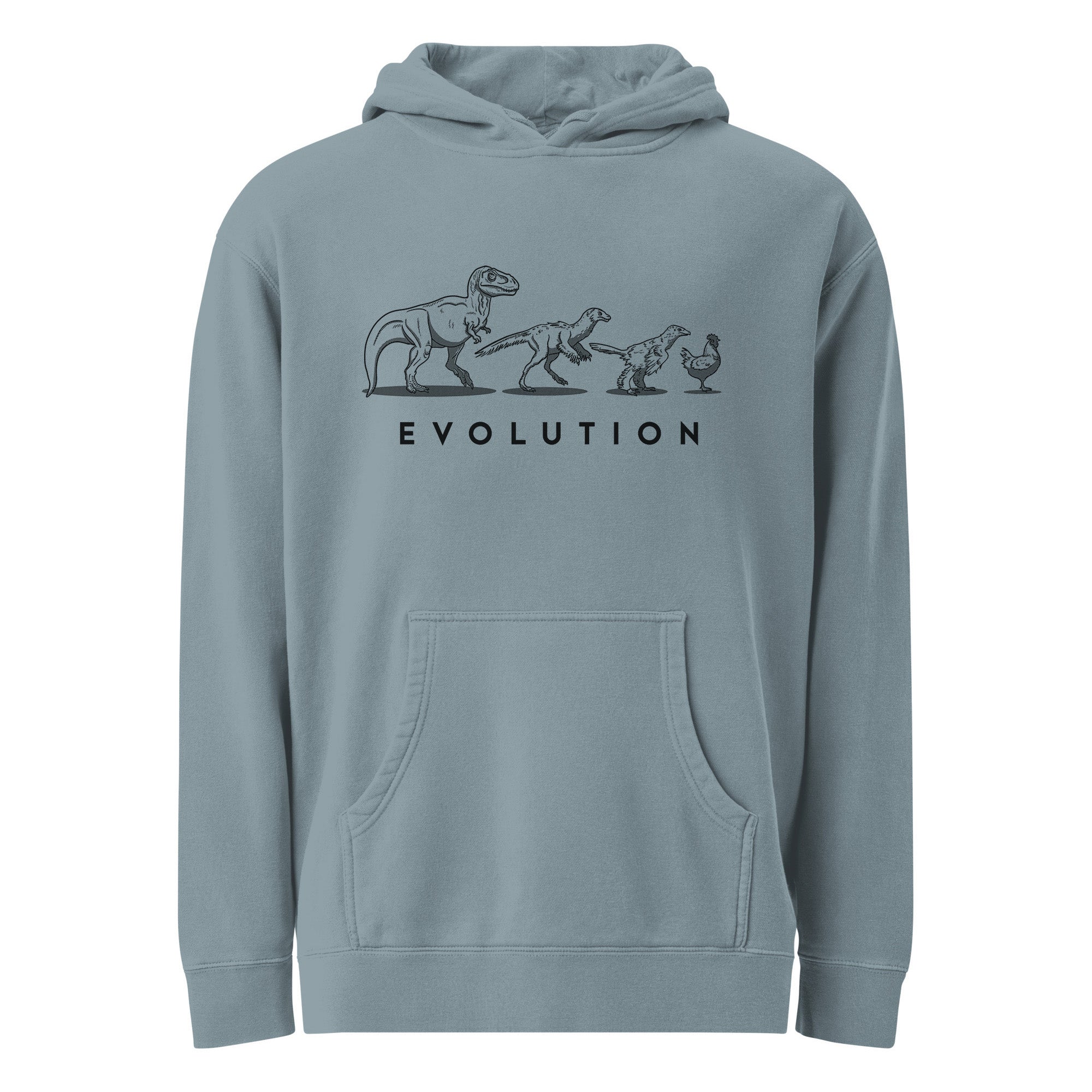 Evolution Of The Dinosaur Cool Graphic Vintage Wash Pullover Hoodie | Funny Chicken Chart T Rex Fleece | Solid Threads