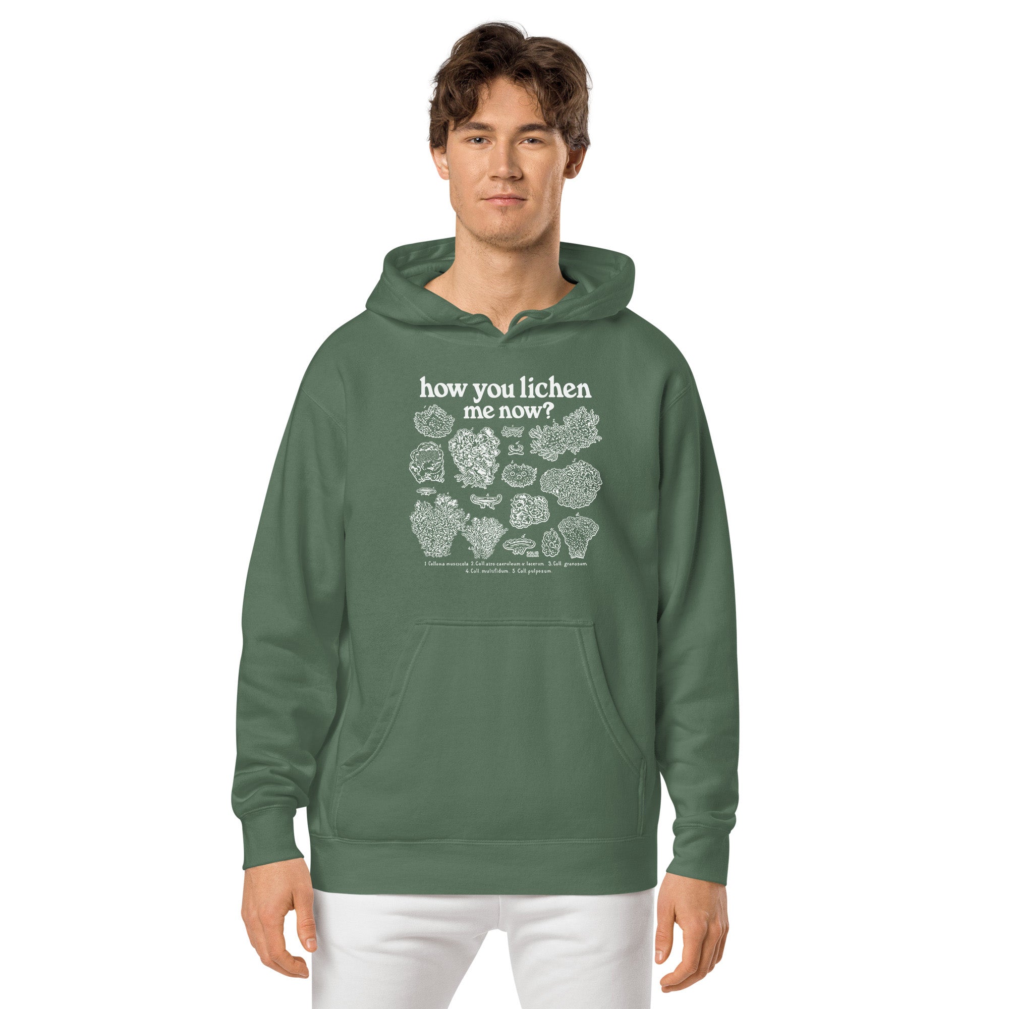 How You Lichen Me Now Vintage Wash Pullover Hoodie