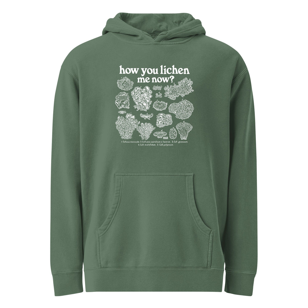 How You Lichen Me Now Funny Vintage Wash Pullover Hoodie | Retro Nature Fleece