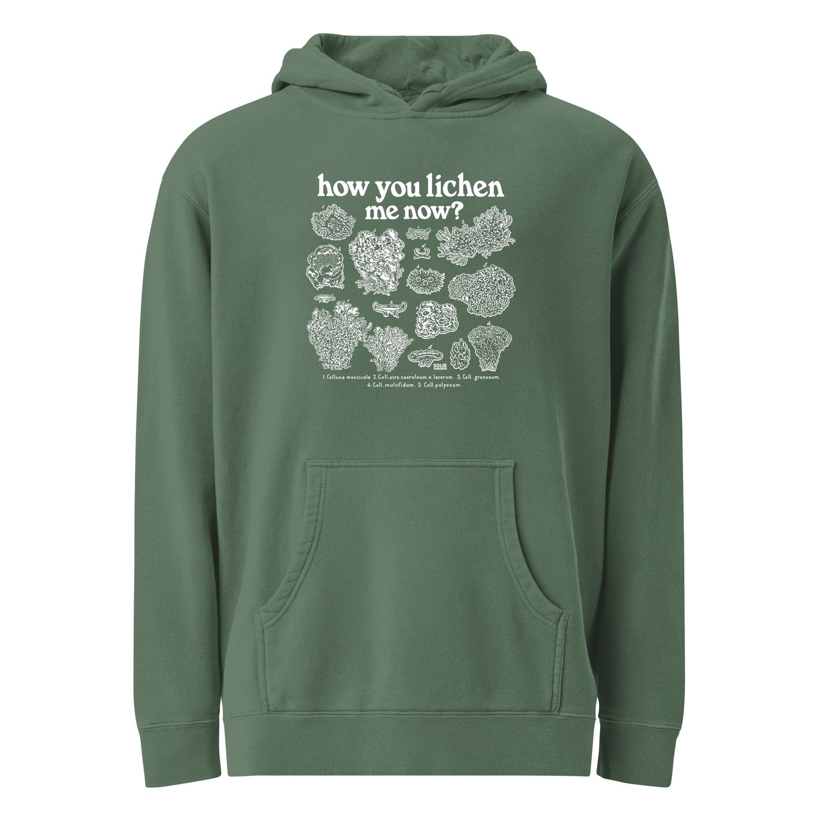 How You Lichen Me Now Vintage Wash Pullover Hoodie