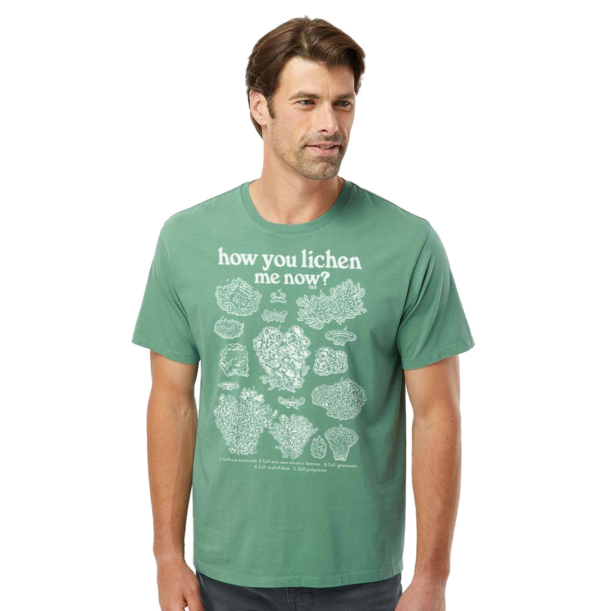How You Lichen Me Now Funny Organic Cotton T-shirt | Retro Nature   Tee On Model | Solid Threads