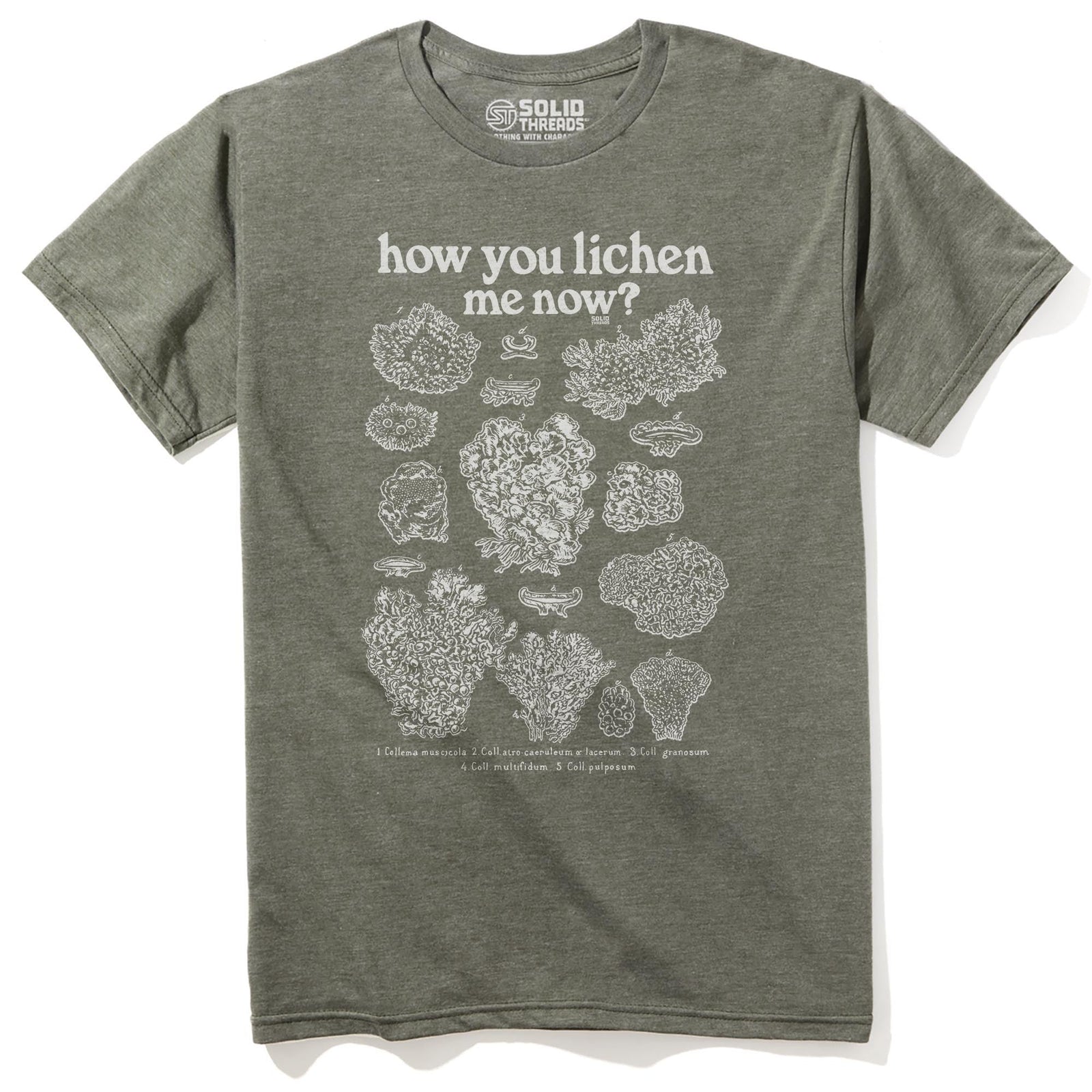 How You Lichen Me Now Funny Staple T-shirt in Olive Heather - Front View