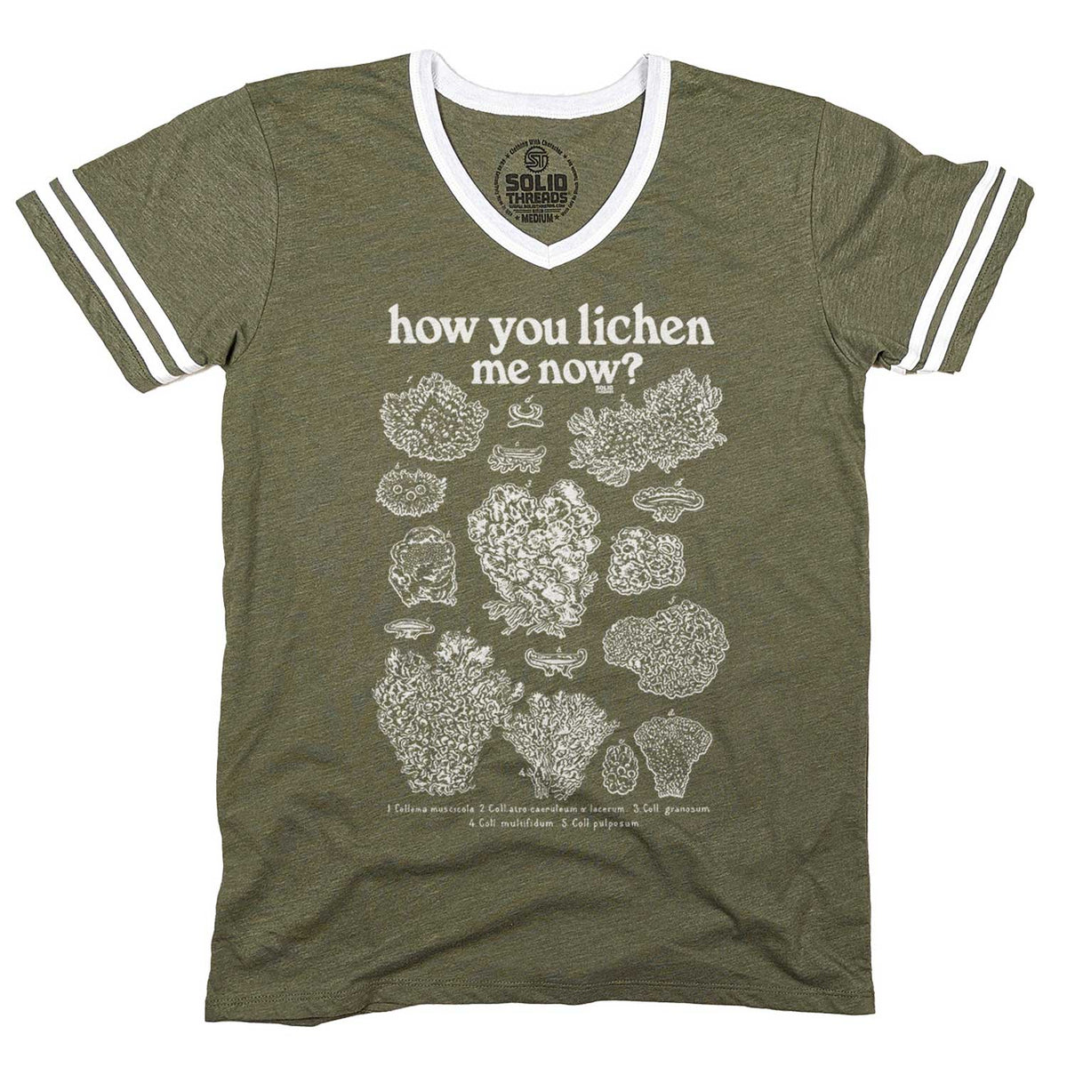Men&#39;s How You Lichen Me Now Retro Graphic V-Neck Tee | Funny Fungi Science T-Shirt | Solid Threads
