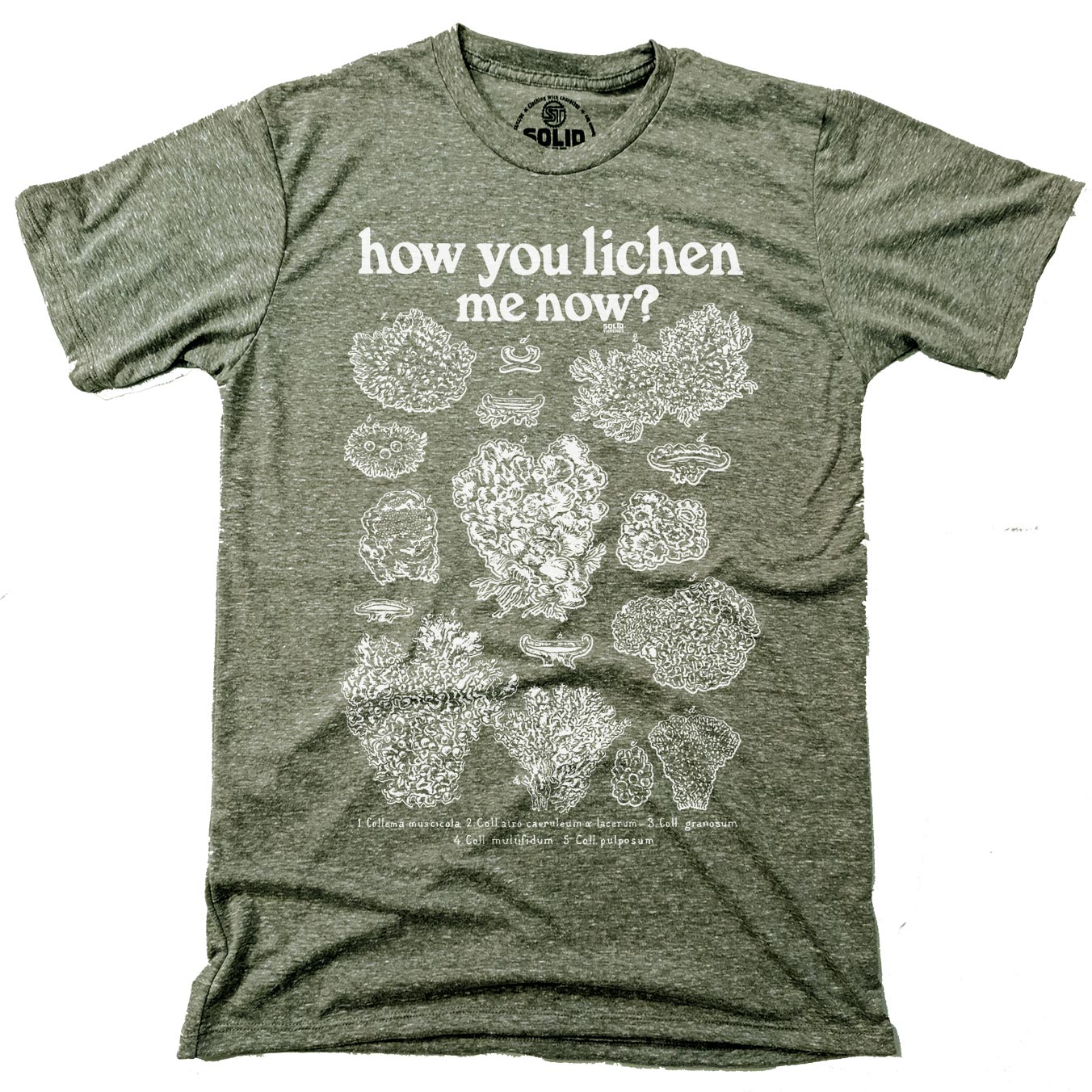 Men's How You Lichen Me Now Retro Botany Graphic Tee | Funny Fungus Triblend T-Shirt | SOLID THREADS