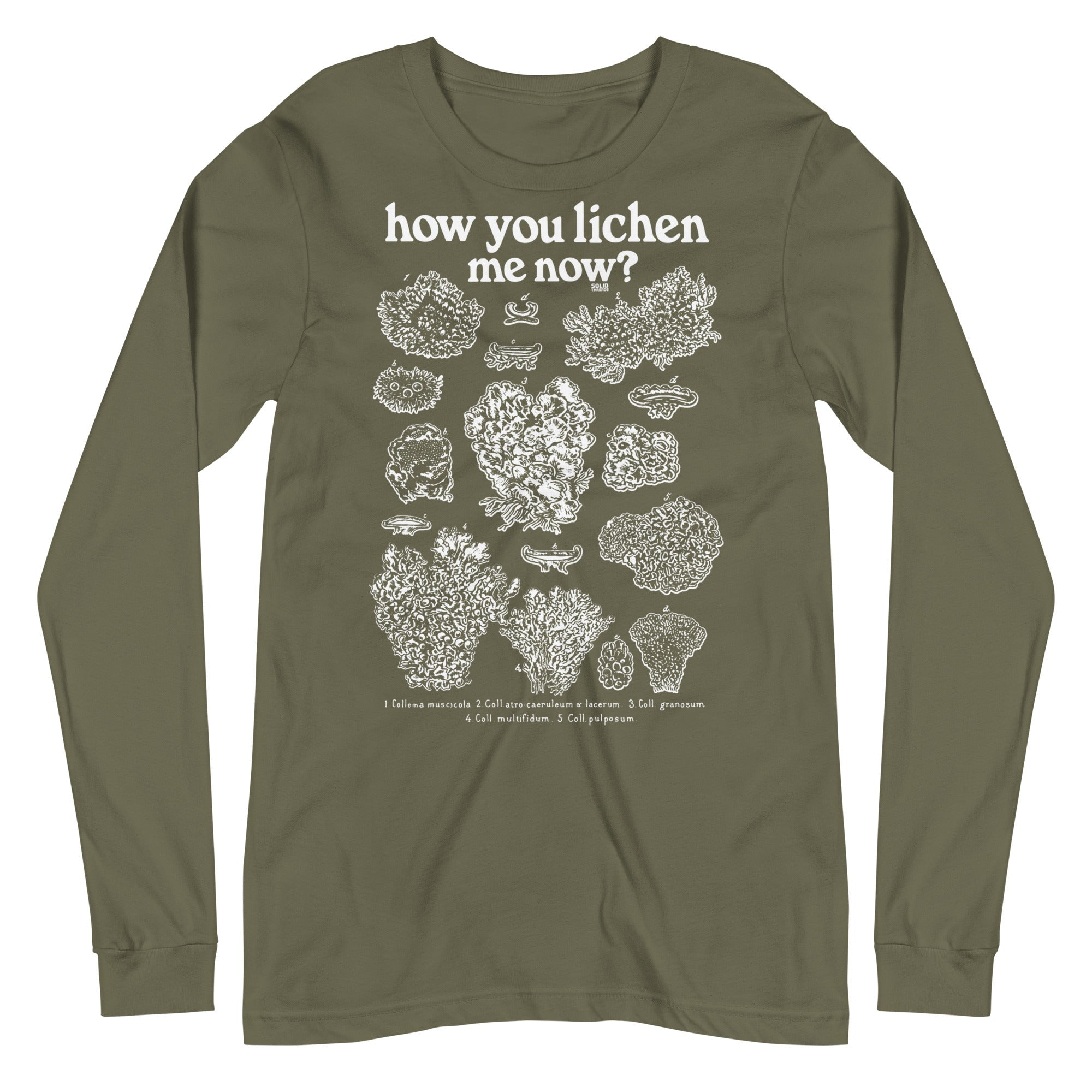 How You Lichen Me Now Vintage Graphic Long Sleeve Tee | Funny Fungi T-Shirt Military Green - Solid Threads