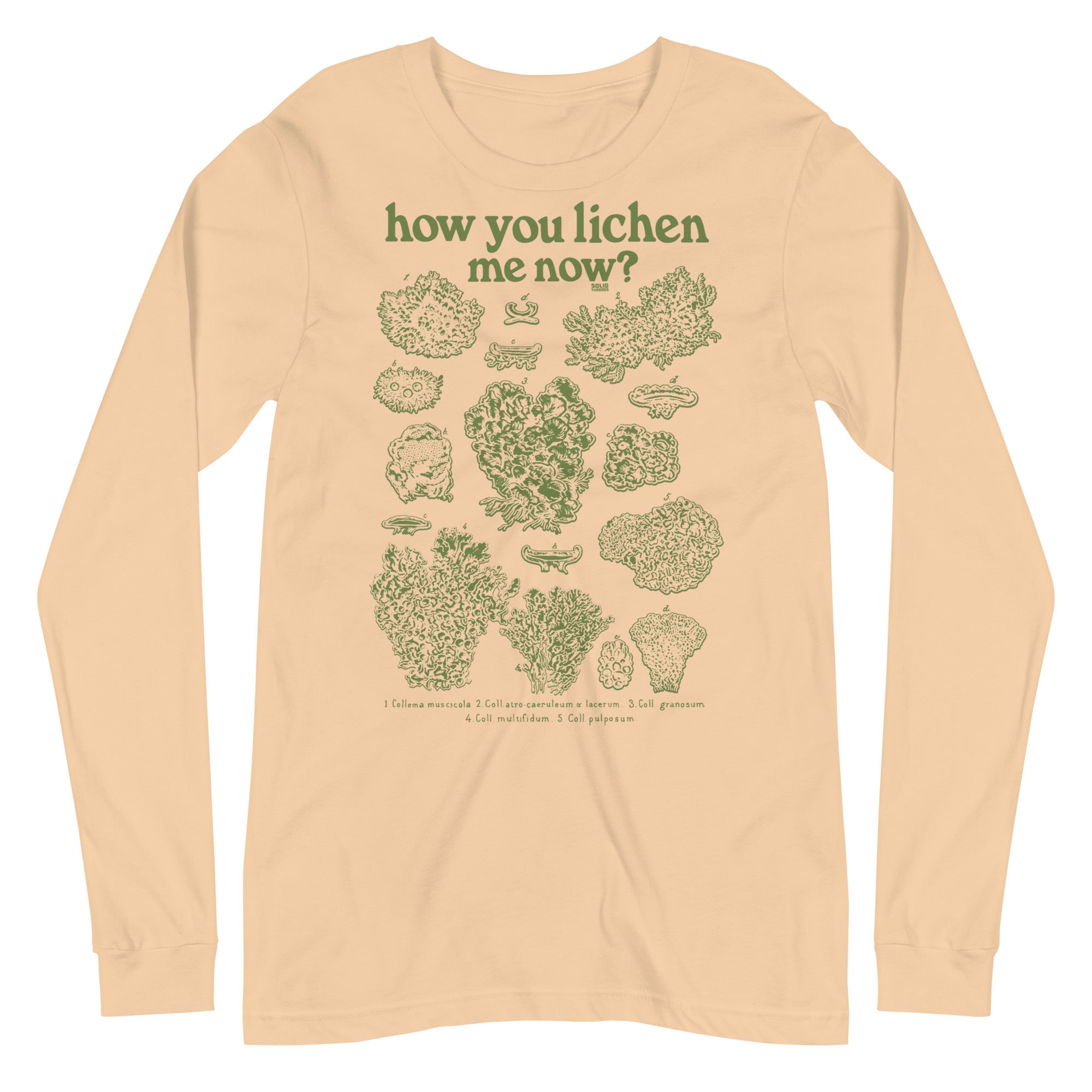 How You Lichen Me Now Vintage Graphic Long Sleeve Tee | Funny Fungi T-Shirt Sand Dune - Solid Threads