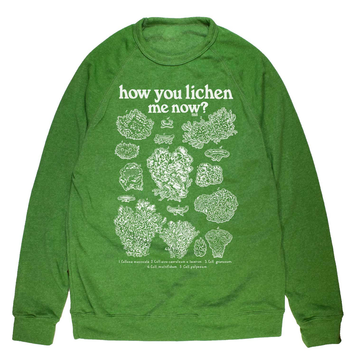 Unisex How You Lichen Me Now Vintage Fleece | Funny Retro Nature Graphic Pullover | Solid Threads